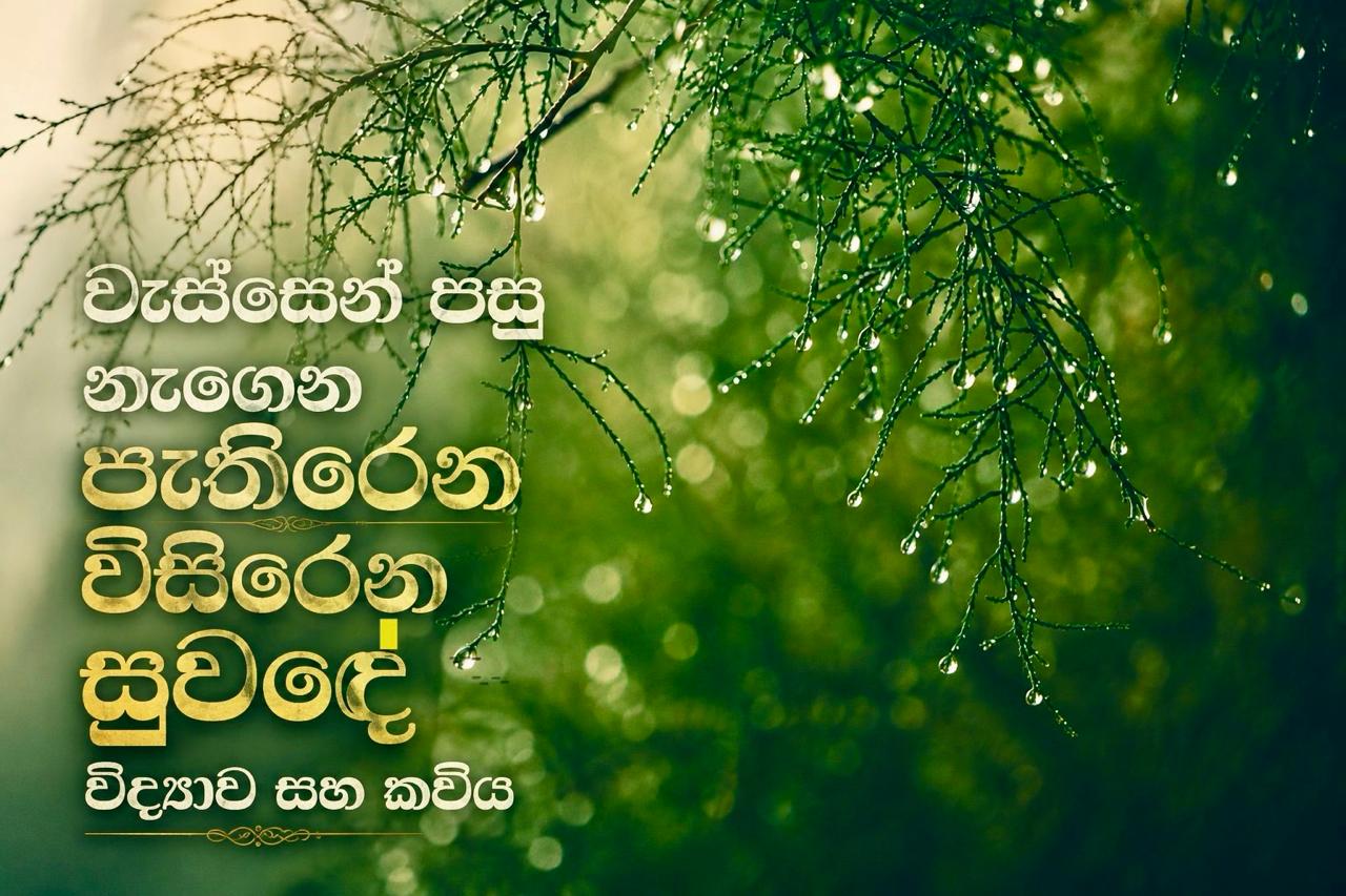 වැස්සෙන් පසු නැගෙන පැතිරෙන විසිරෙන සුවඳේ විද්‍යාව සහ කවිය.